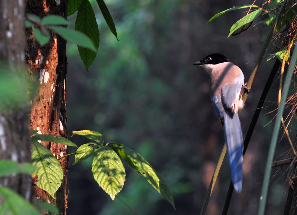 dsc_0544.jpg