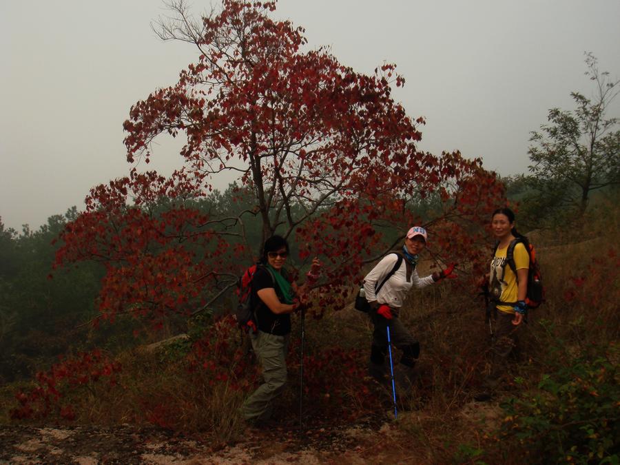 dsc00850.jpg