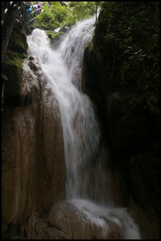 conew_ (137).jpg