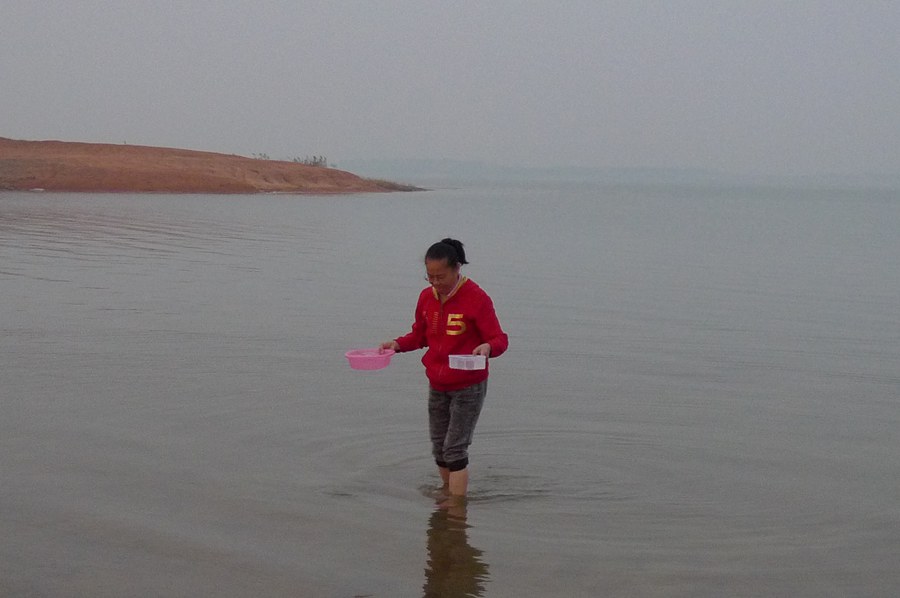 p1160015_.jpg