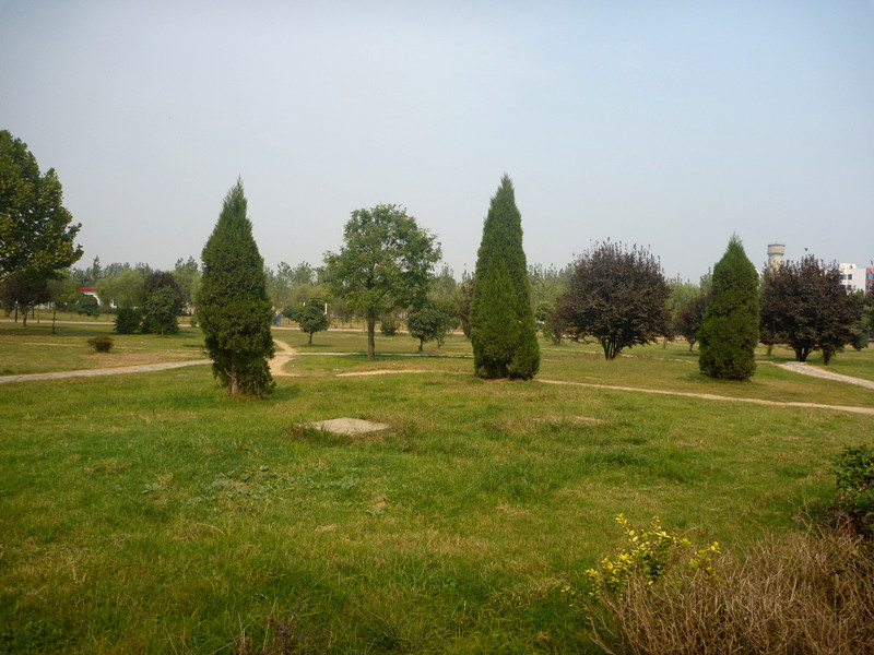 p1120844_.jpg