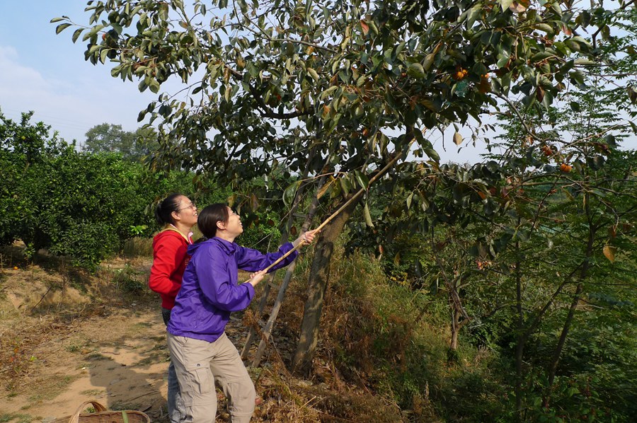 p1160110_.jpg