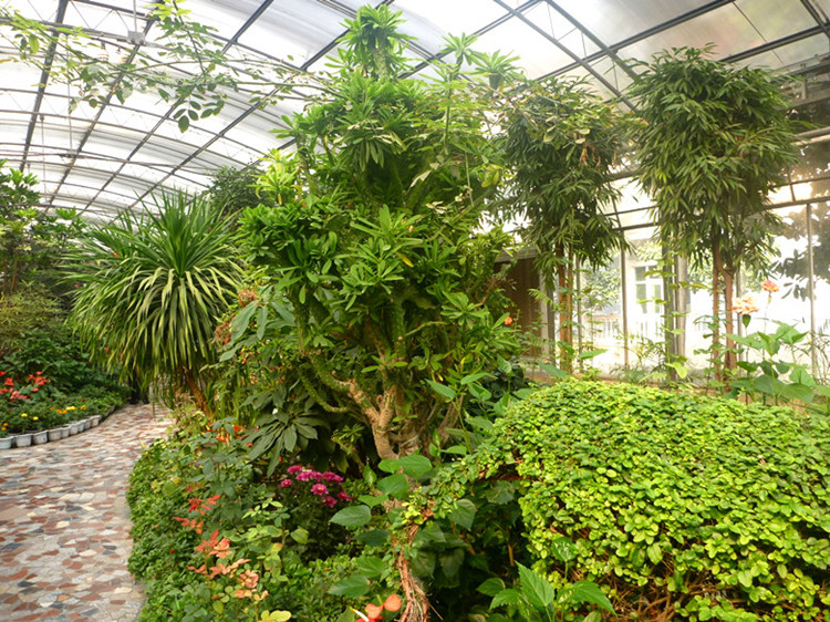 p1120867__.jpg