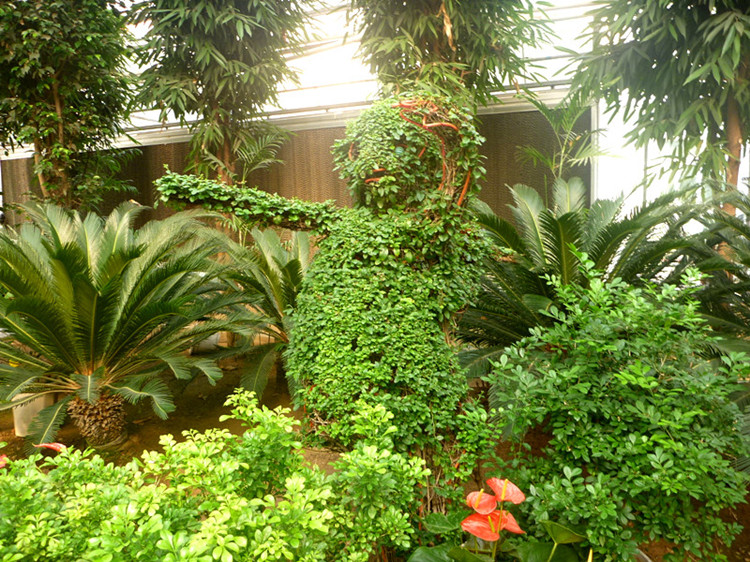 p1120869__.jpg