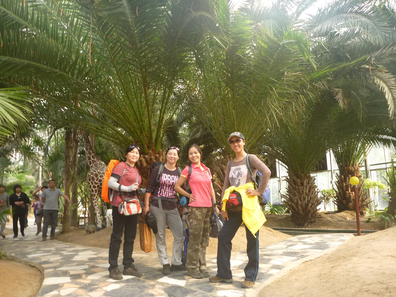 p1120872_.jpg