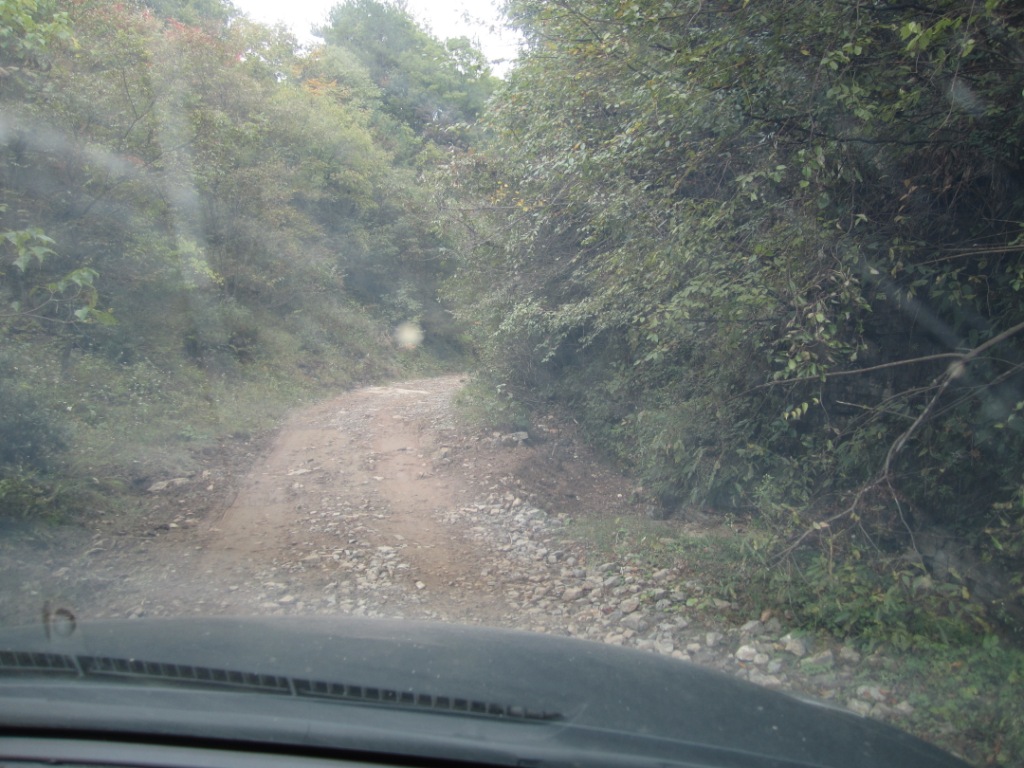img_1635.jpg