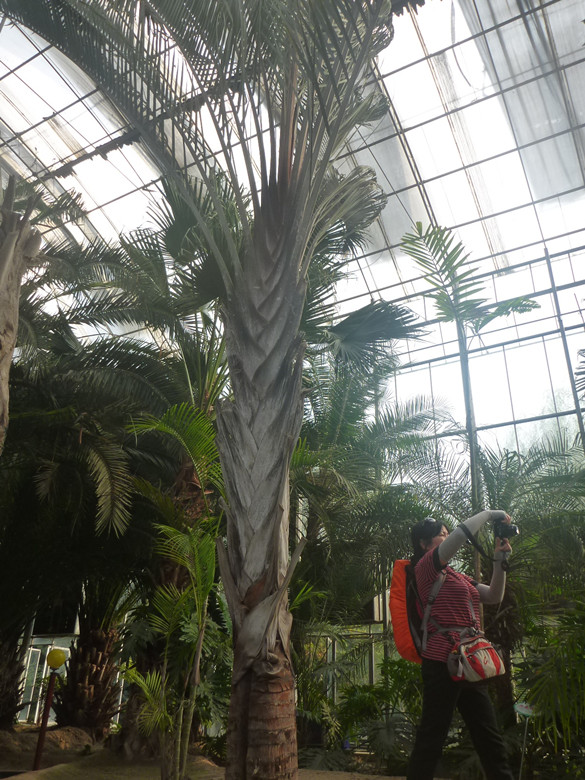 p1120873_.jpg