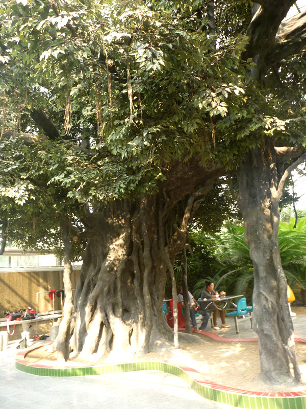 p1120876_.jpg