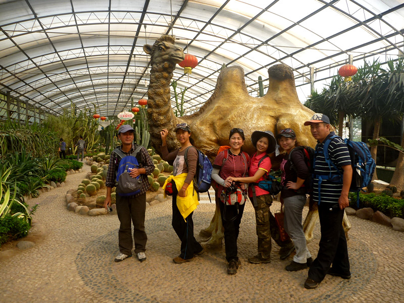 p1120877_.jpg