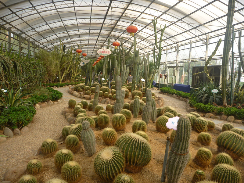 p1120878_.jpg