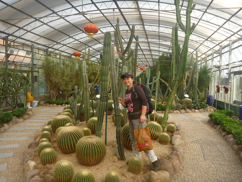 p1120880_.jpg