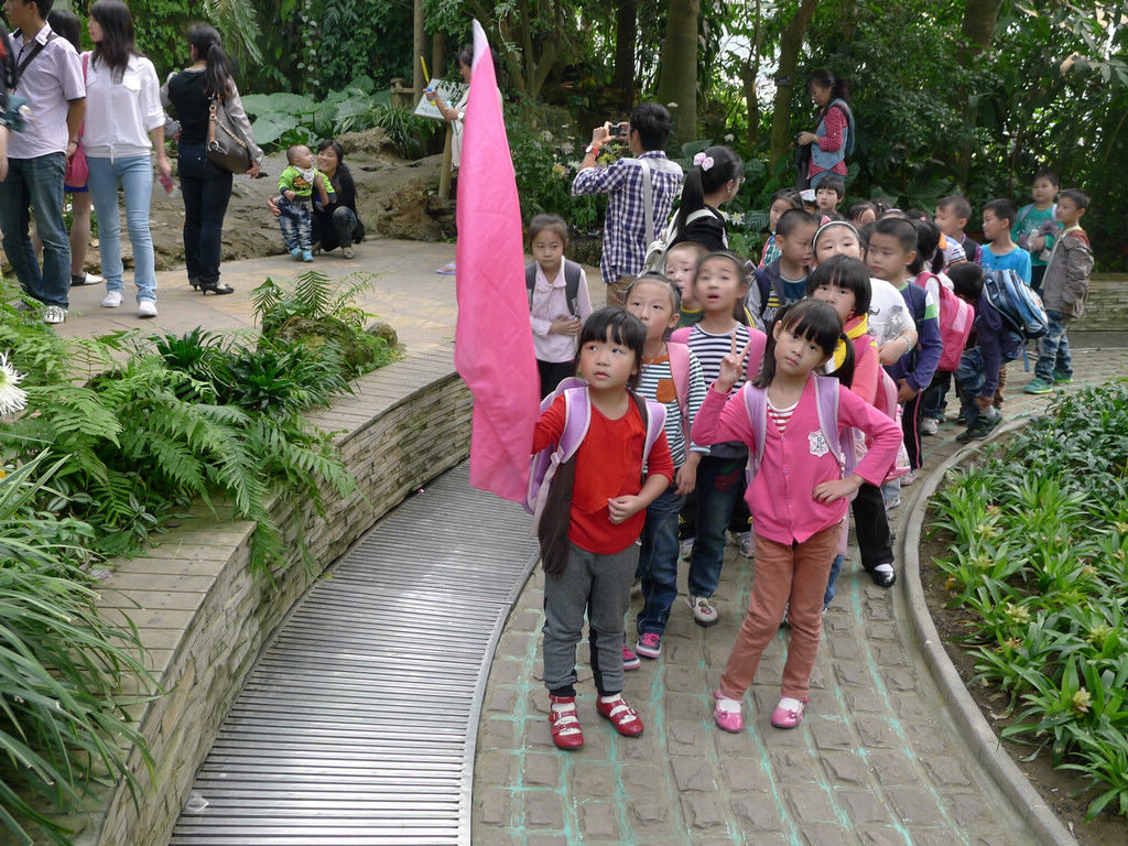 p1150819.jpg
