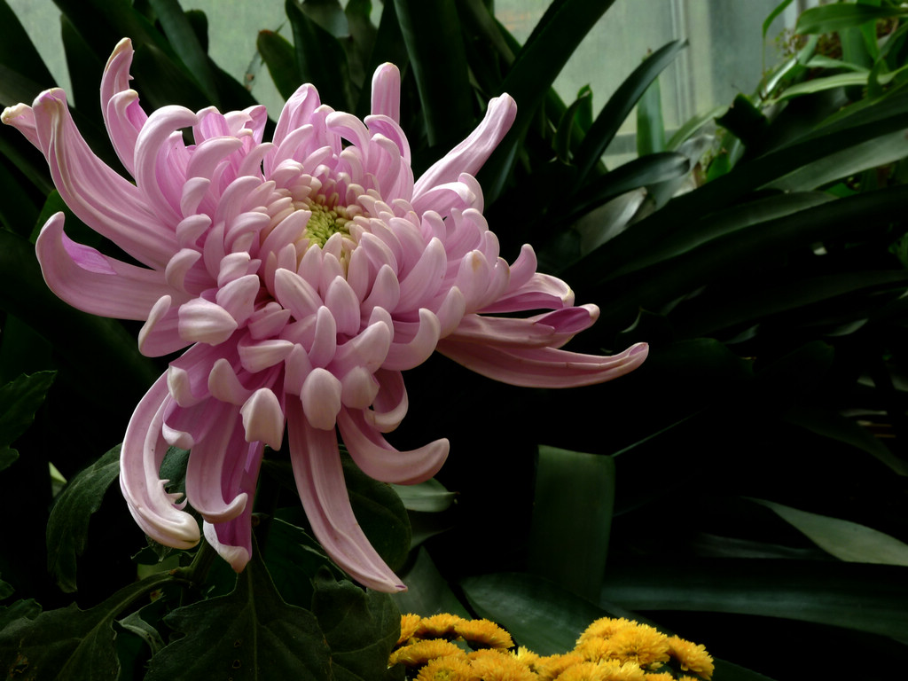 p1150825.jpg