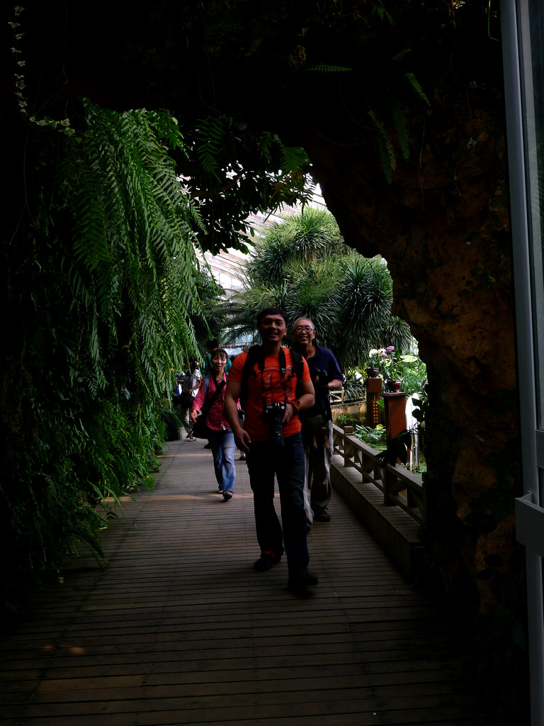 p1150853.jpg