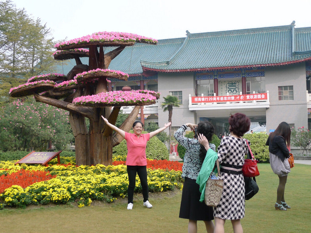 p1150749.jpg