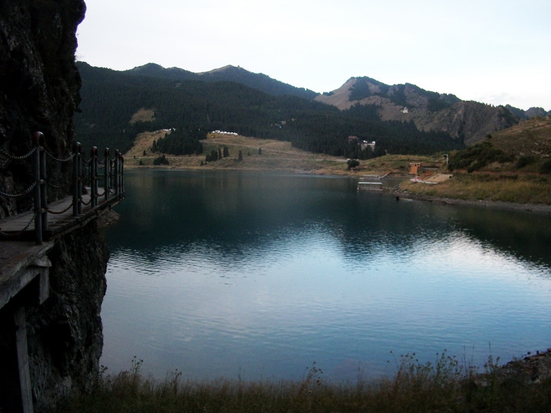 dscf0216.jpg