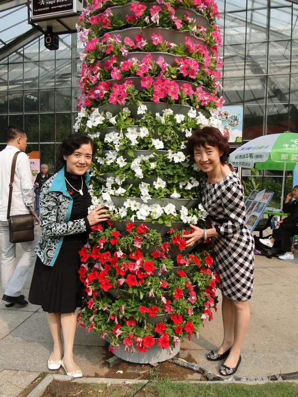 neo_img_dsc03386.jpg