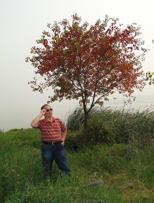 neo_img_dsc03624.jpg