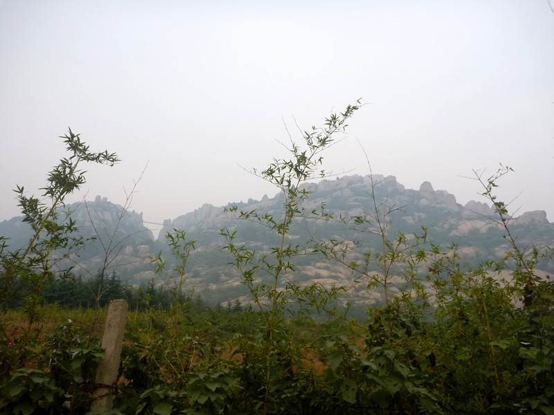 p1120891_.jpg