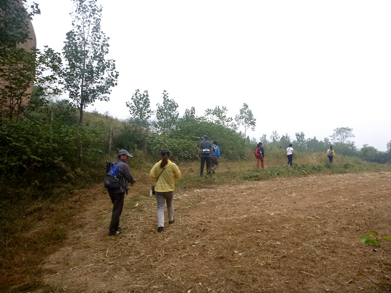 p1120892_.jpg