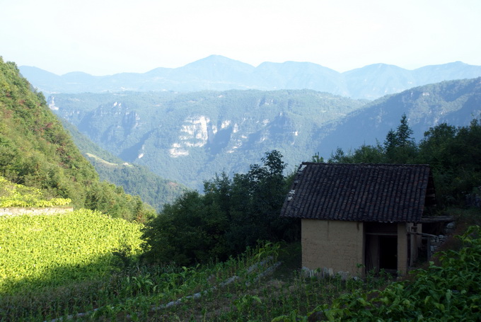 dsc_0004.jpg