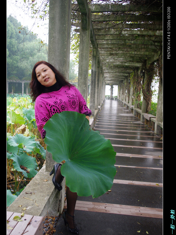imgp4848.jpg