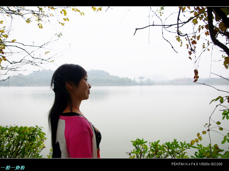 imgp4833.jpg