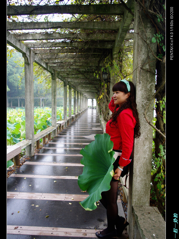 imgp4837.jpg