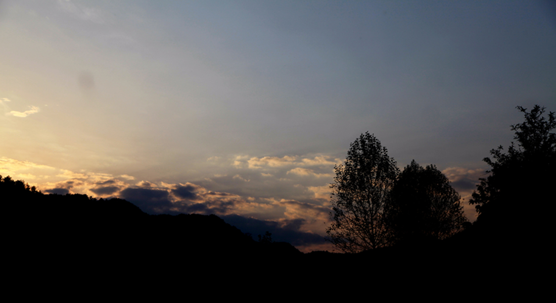 img_8557-1.jpg