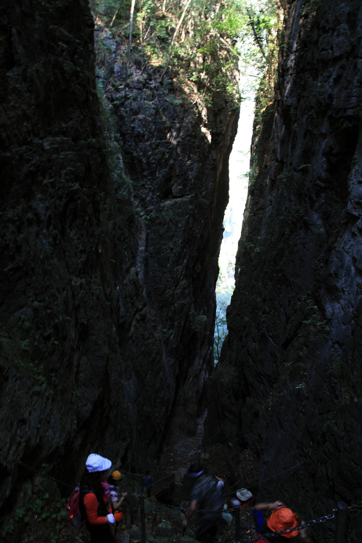 img_8600.jpg