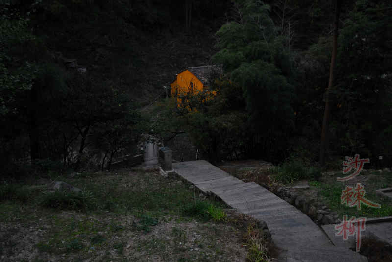 dsc_0207.jpg