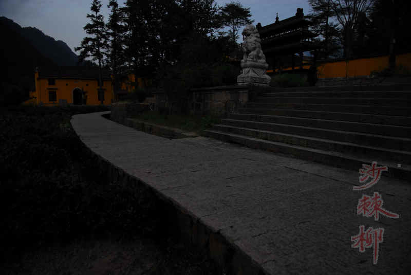 dsc_0238.jpg