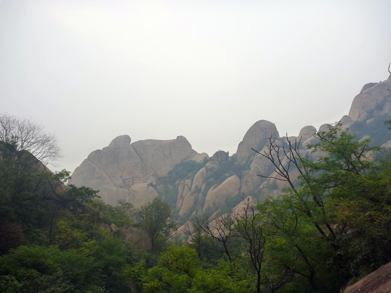 p1120914_.jpg