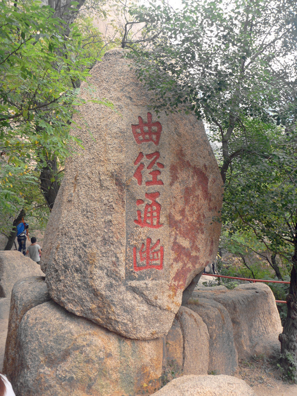 p1120912_.jpg