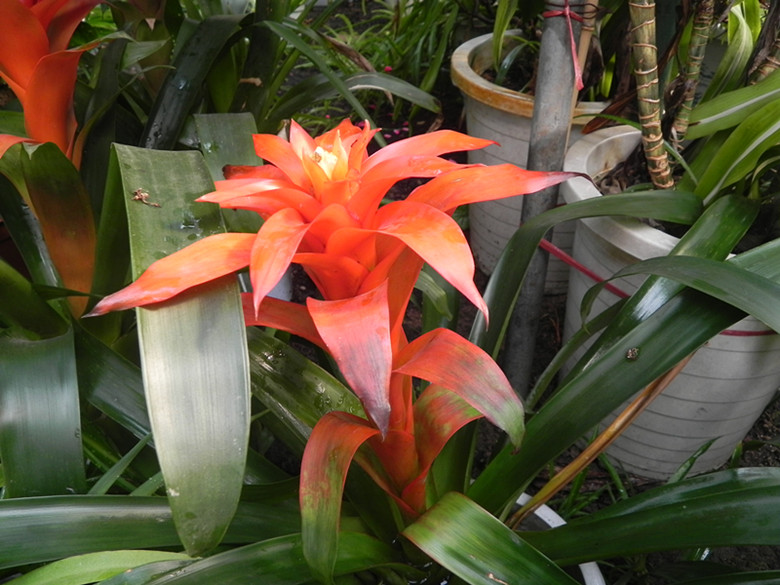 dscn1461_.jpg