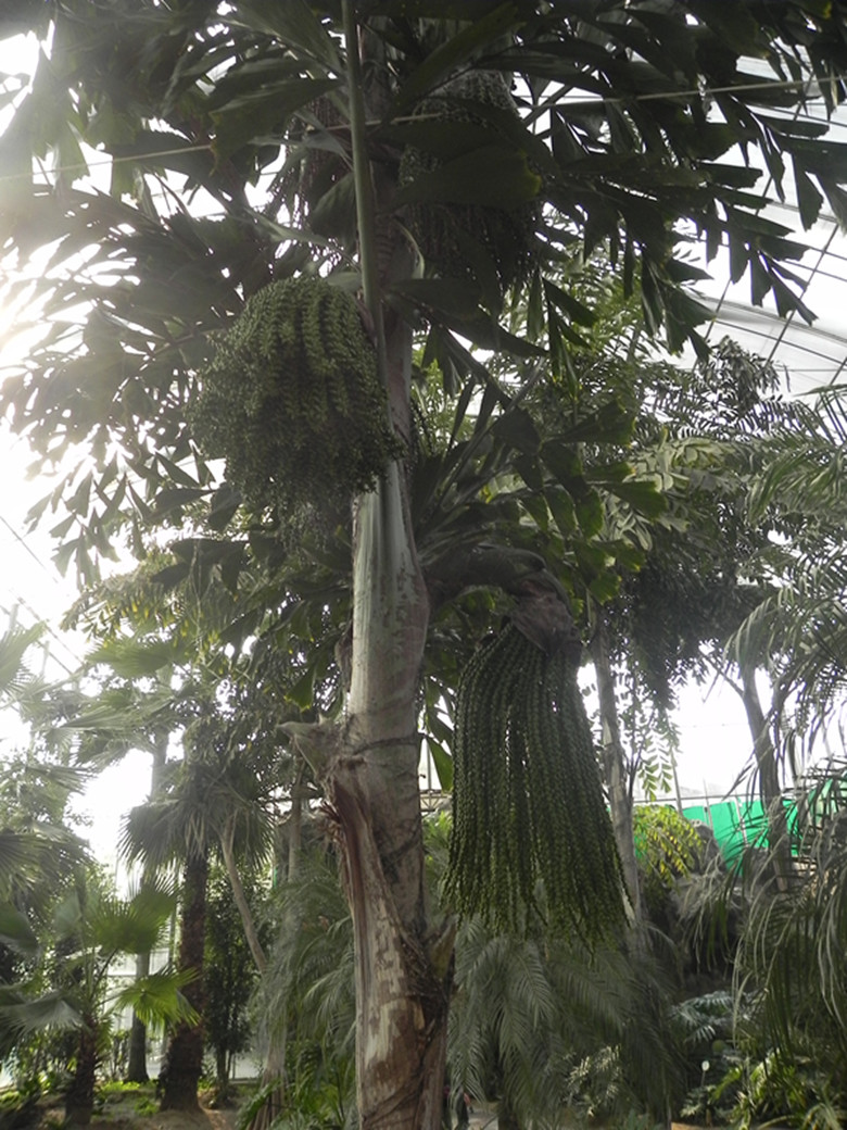 dscn1472_.jpg