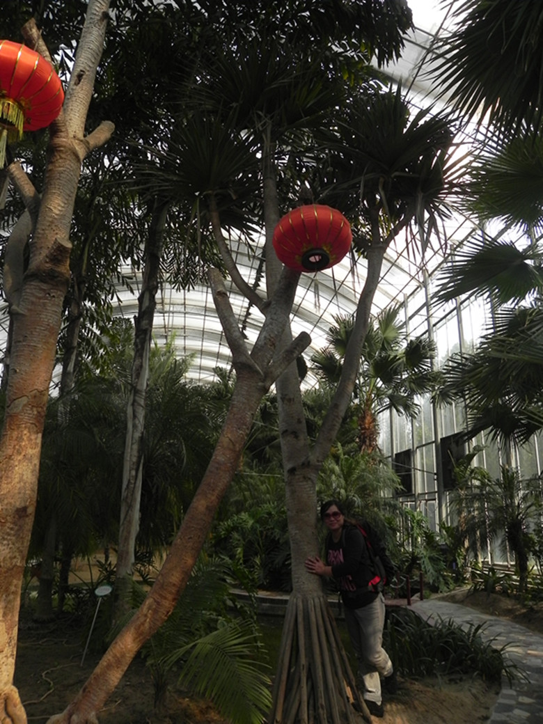 dscn1476_.jpg