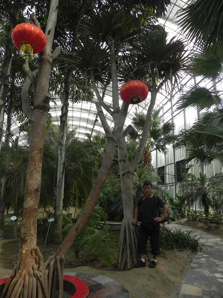 dscn1477_.jpg