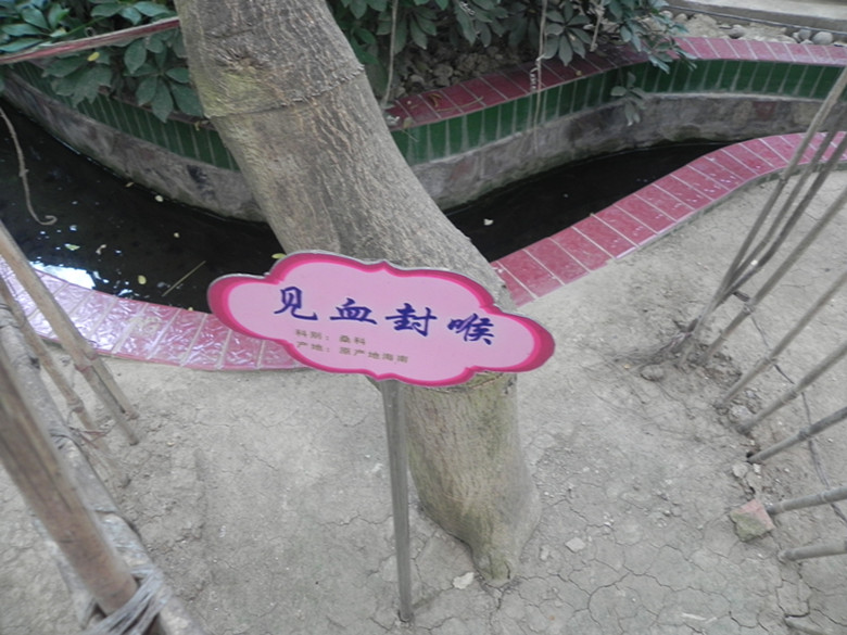 dscn1480_.jpg