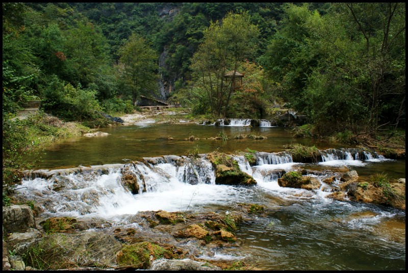 conew_ (163)_conew1.jpg
