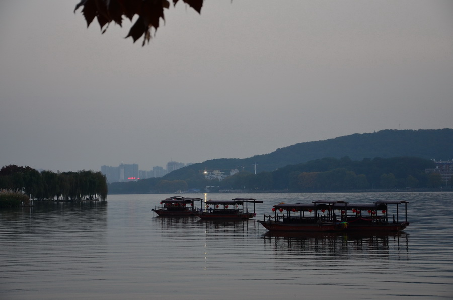 dsc_0982-1.jpg