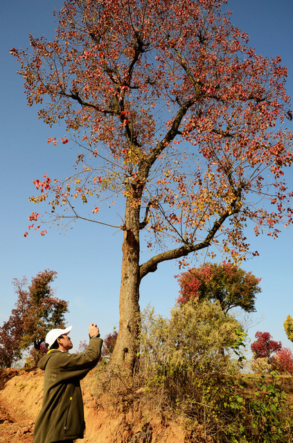 dsc_4793.jpg