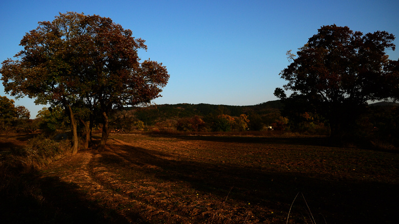 dsc_5035.jpg