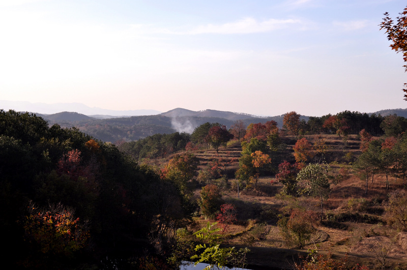 dsc_6000.jpg
