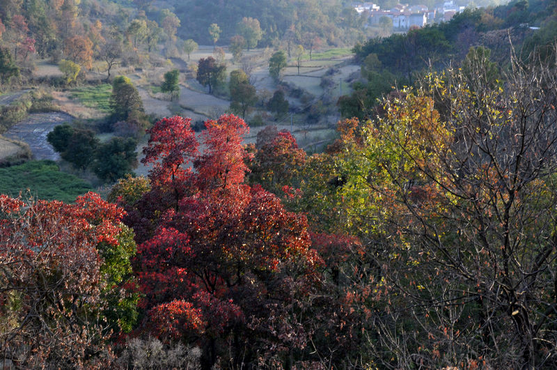 dsc_6089.jpg
