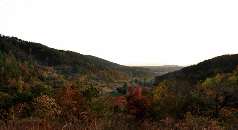 dsc_6088.jpg