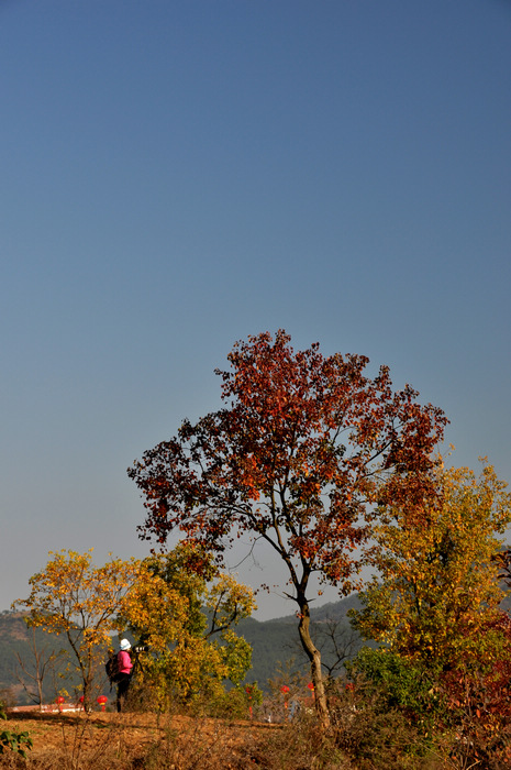 dsc_6416.jpg