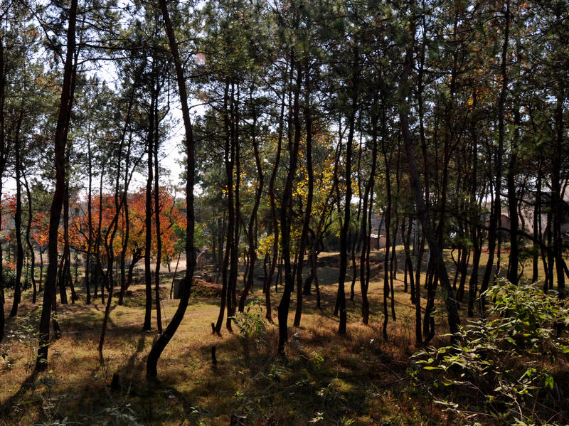 dsc_6603.jpg