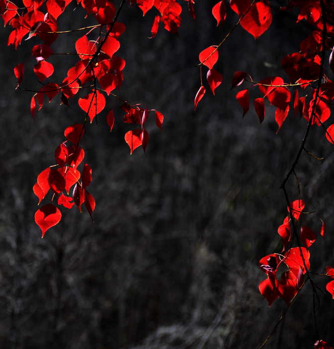 dsc_6697.jpg