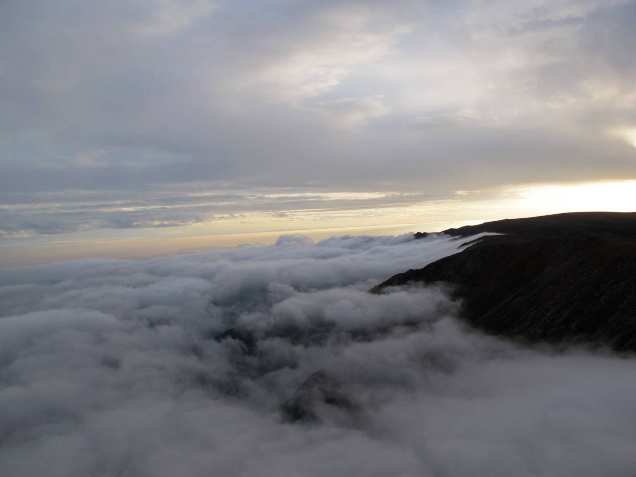 img_5550.jpg